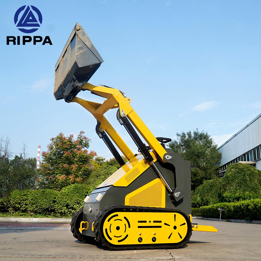 1739925988876750.jpg Skid steer.jpg