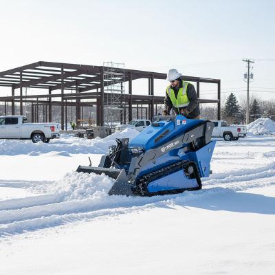 case skidsteer
