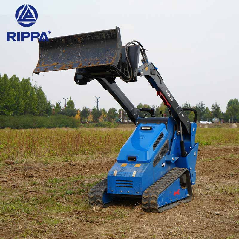 1766217933816516.jpg Untitled-17. jpg