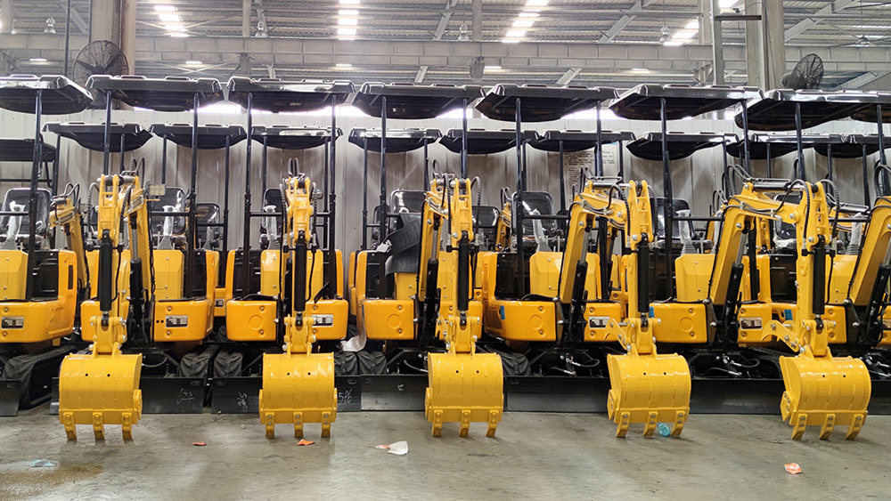 1710122418212934.jpg miniescavatore (35).jpg