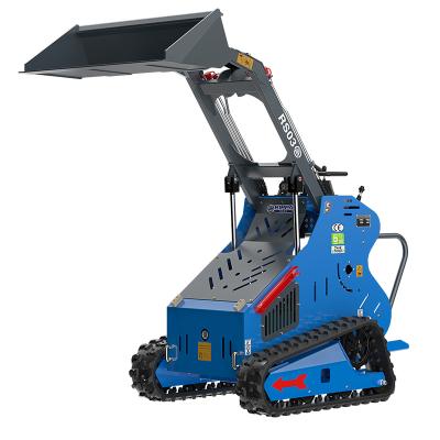 mini skid