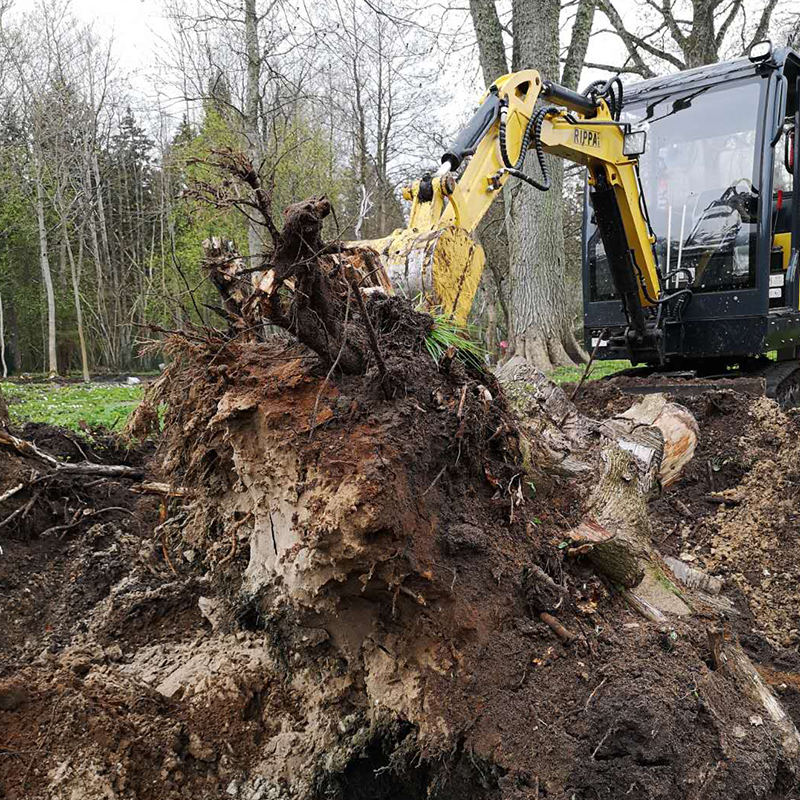 1648611735793080.jpg 34.jpg