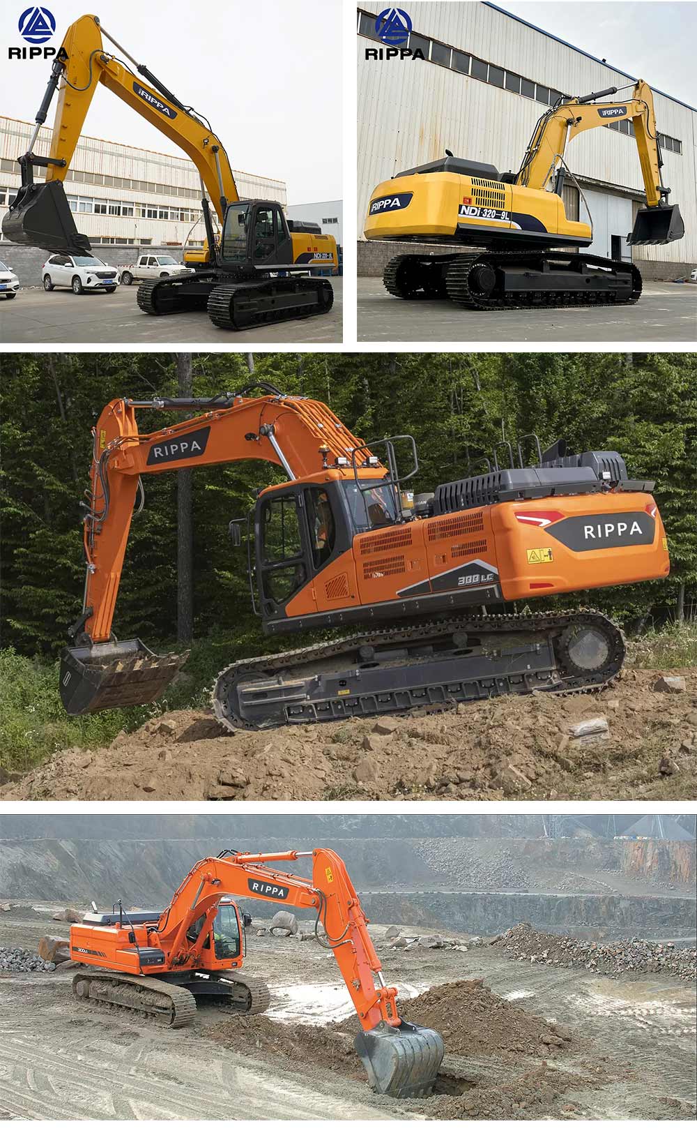 1705540755809158.jpg Senza titolo-1.jpg