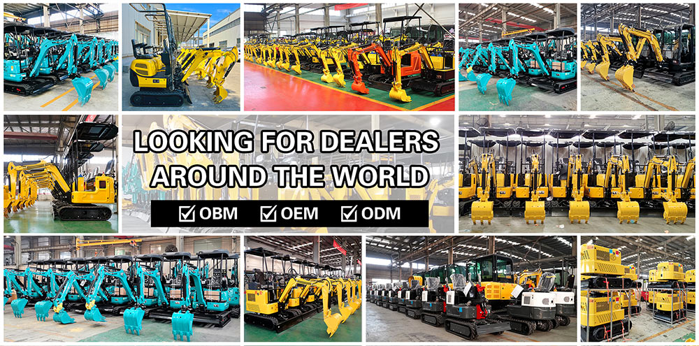 1710231653418152.jpg miniescavatore (34).jpg