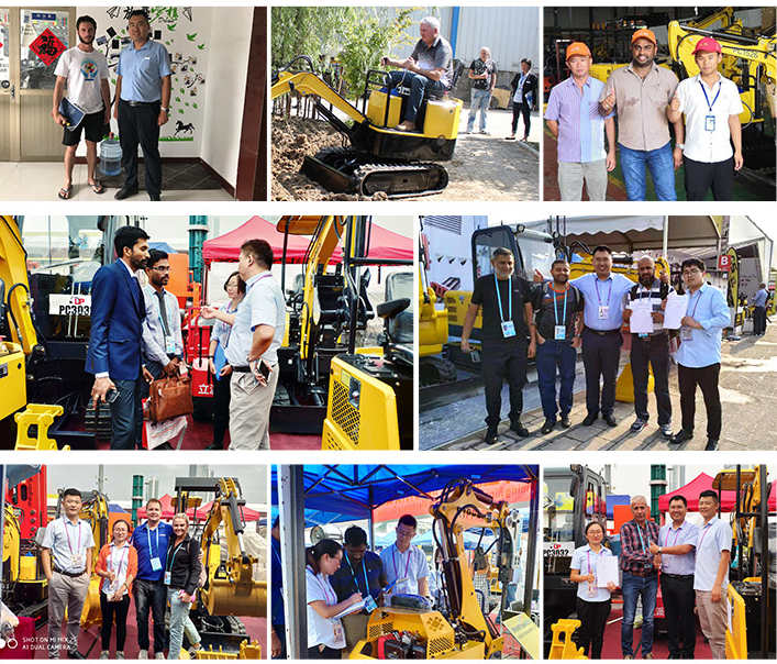 il compagno di rippa il compagno di rippa